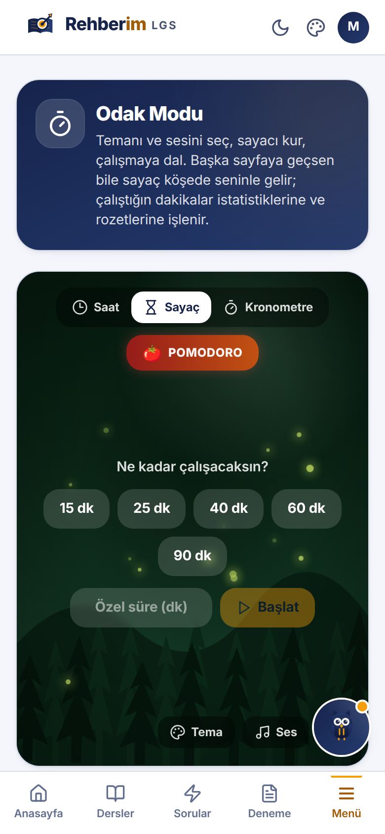 Odak modu ekranı